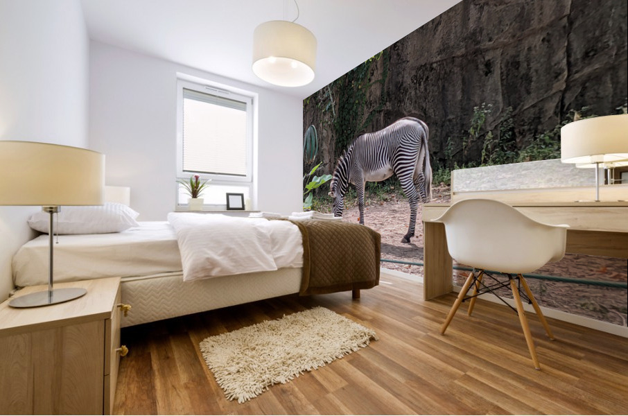 Zebra Mural print