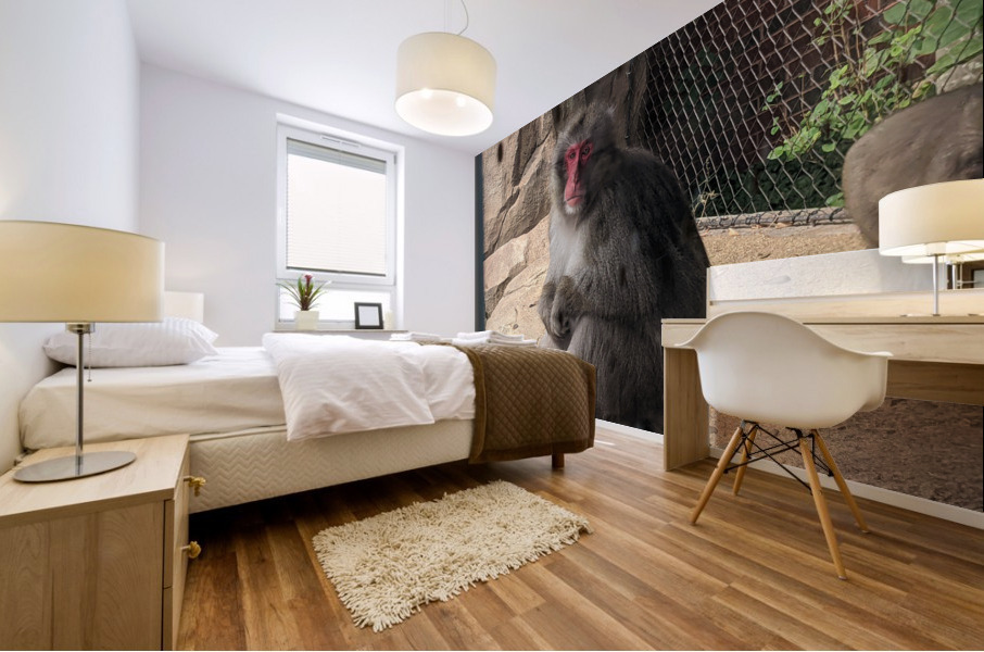 Monkey Mural print