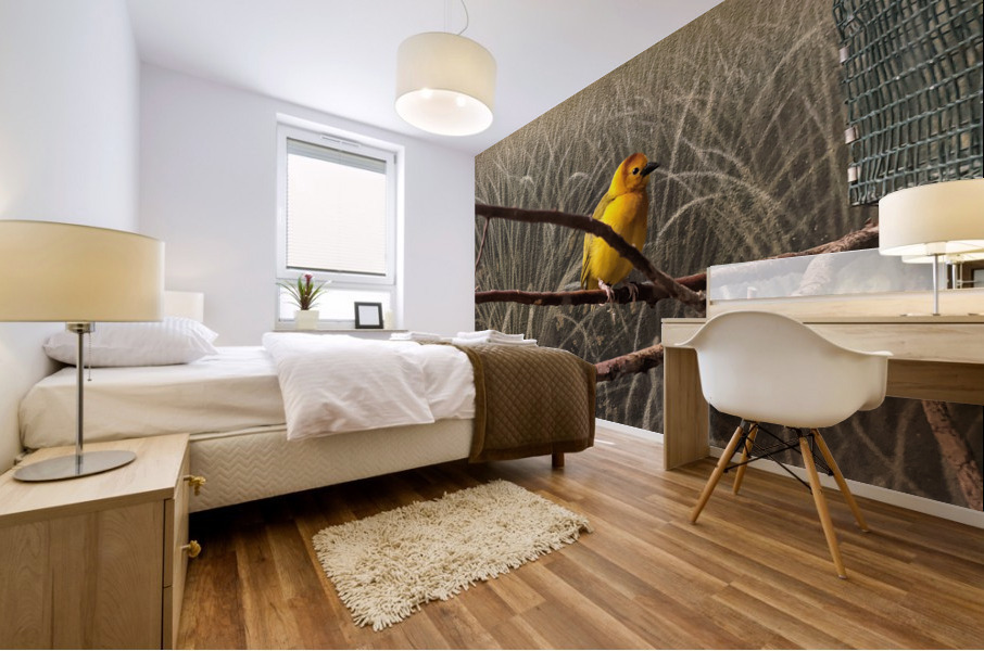 Colorful Bird Mural print