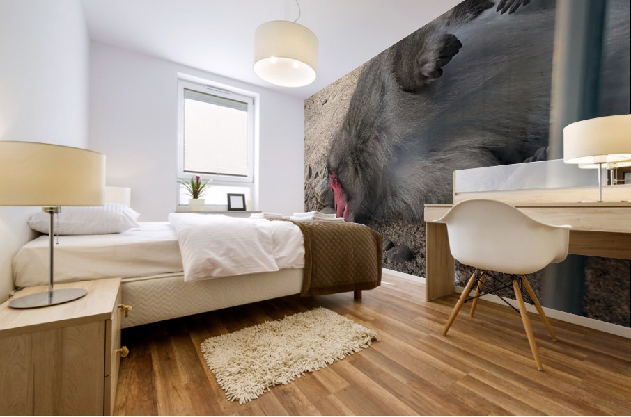 Monkey Mural print