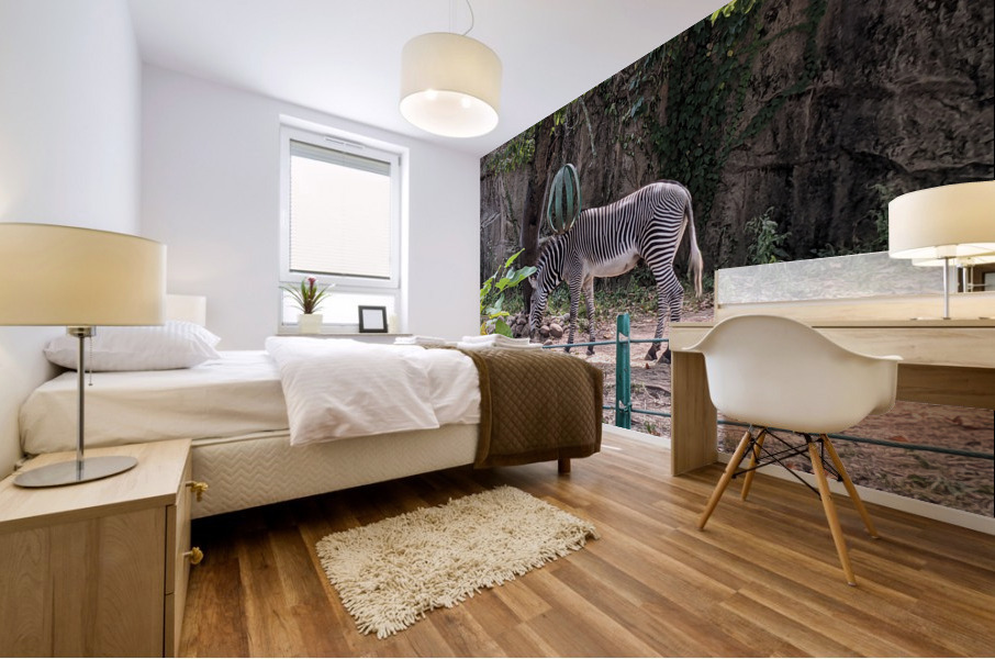 Zebra Mural print