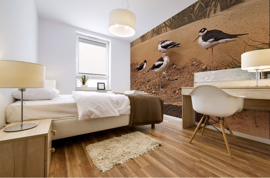 Birds Mural print
