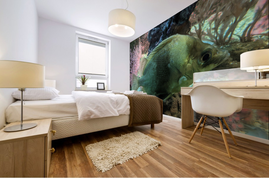 Colorful Fish Mural print