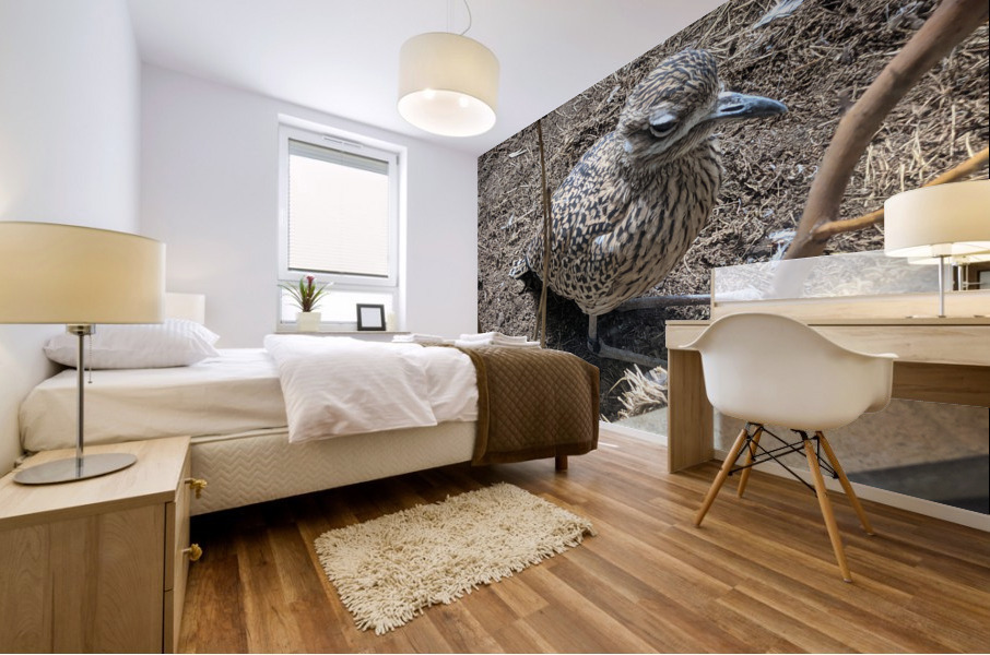Bird Zoo Mural print