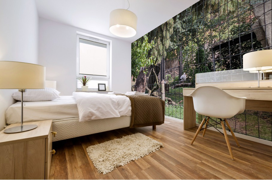 Zoo Mural print