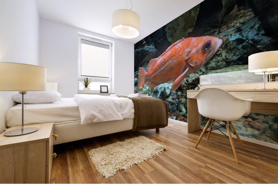 Colorful Fish Mural print