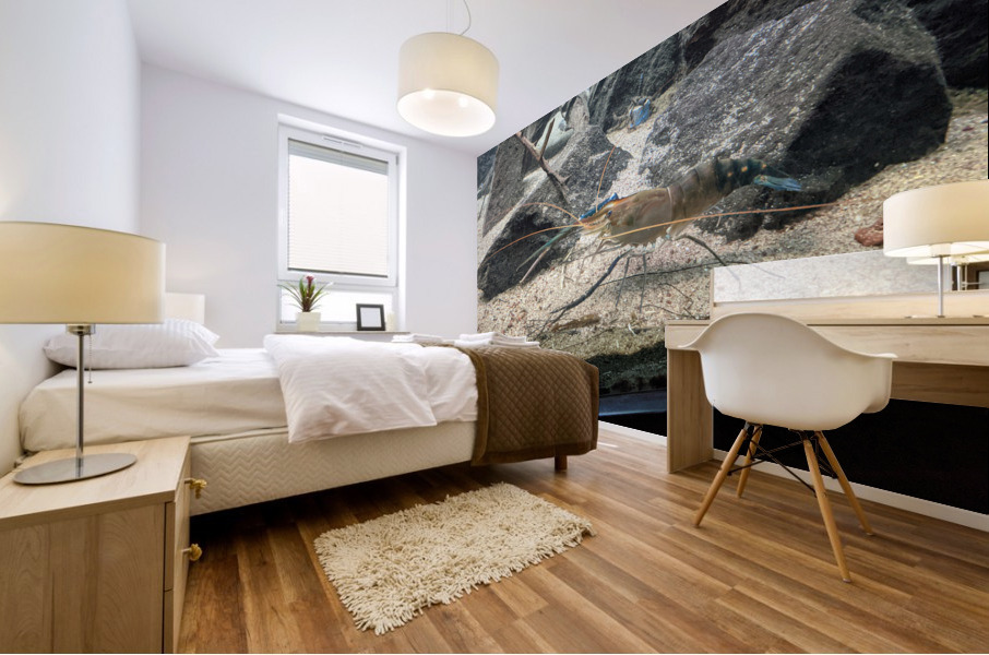Zoo Mural print