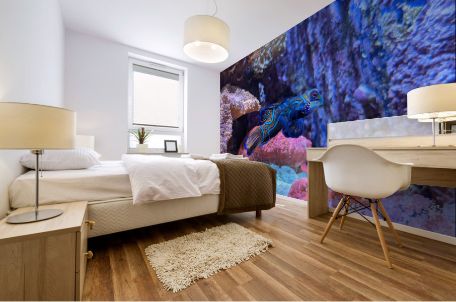 Blue Fish Mural print