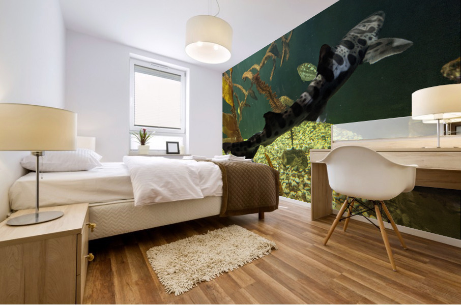 Shark Mural print