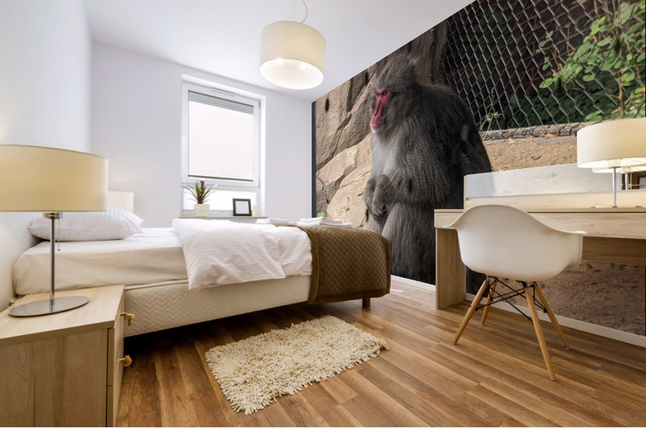 Monkey Mural print