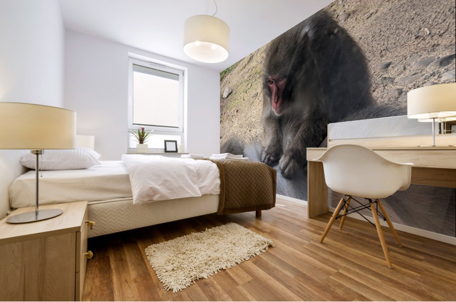 Monkey Mural print