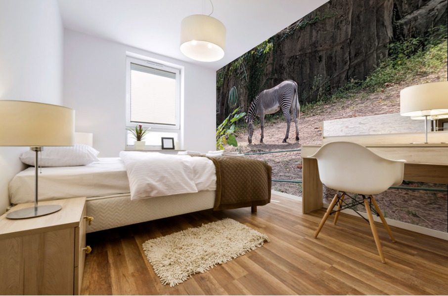 Zebra Mural print