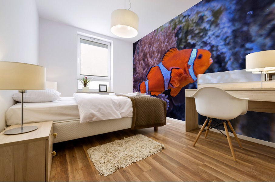 Colorful Fish Mural print