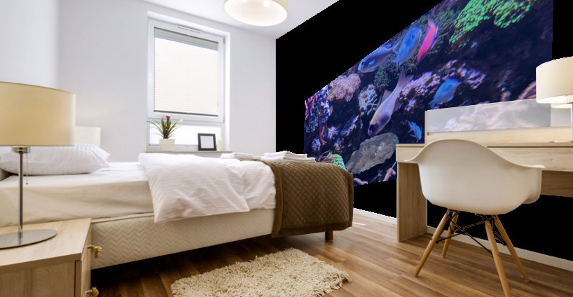 Colorful Fish Mural print