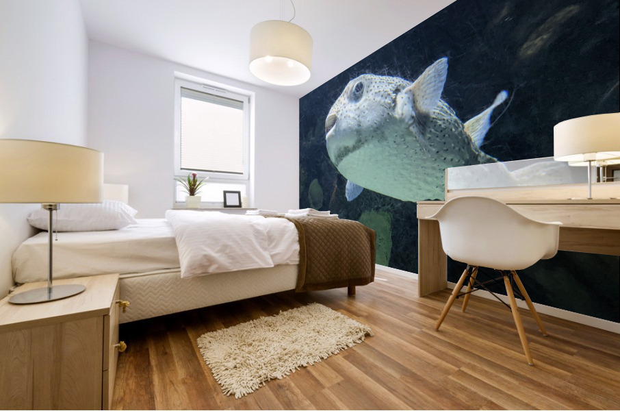 Puffer Fish Mural print