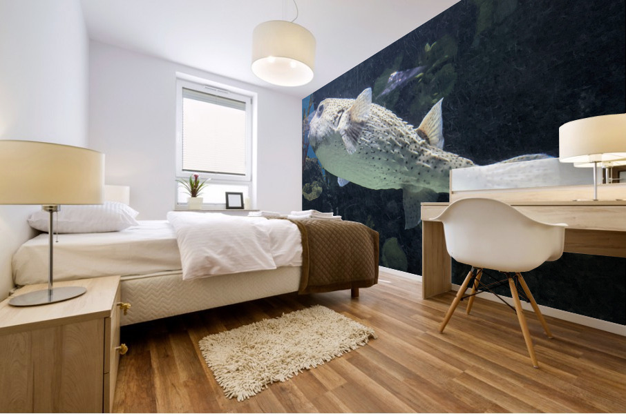 Puffer Fish Mural print