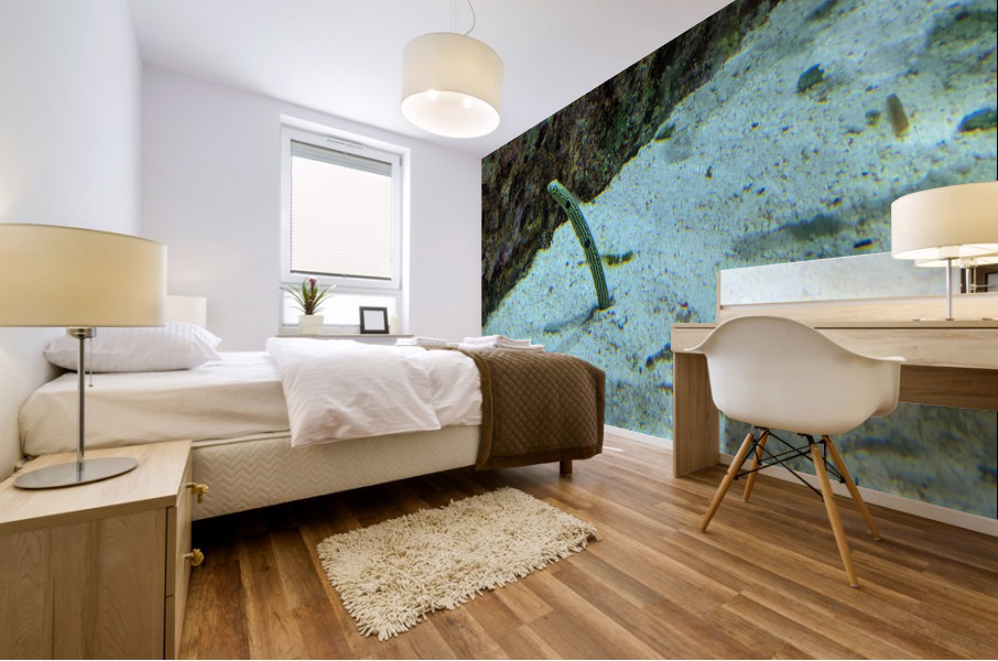 Yellow Eel Mural print