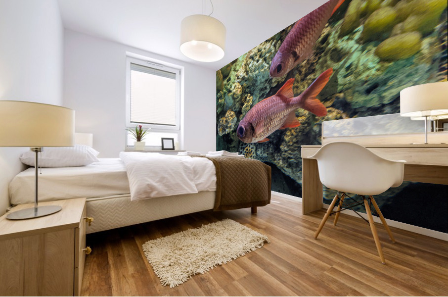 Colorful Fish Mural print