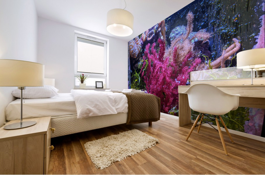 Aquarium Mural print