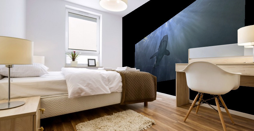 Shark Mural print