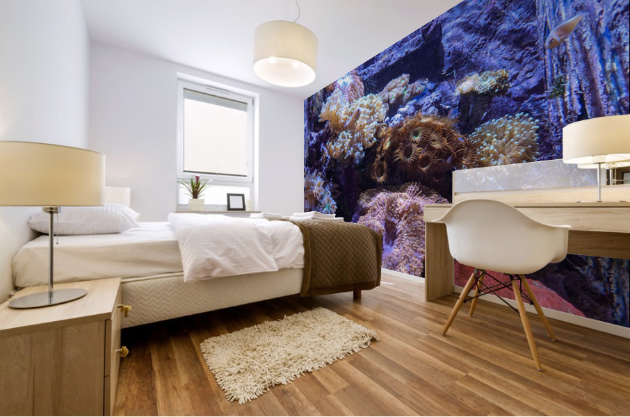 Aquarium Mural print