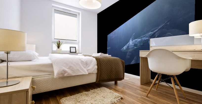 Shark Mural print