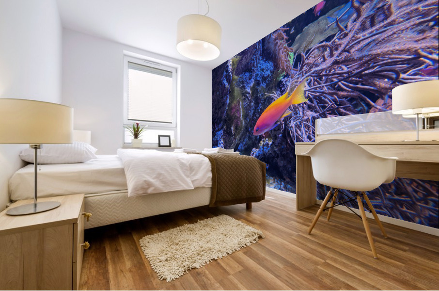 Colorful Fish Mural print