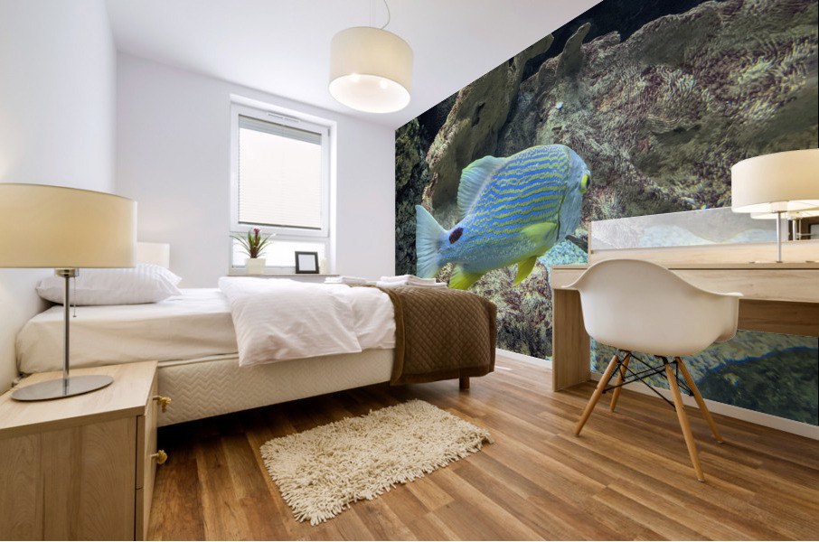 Colorful Fish Mural print