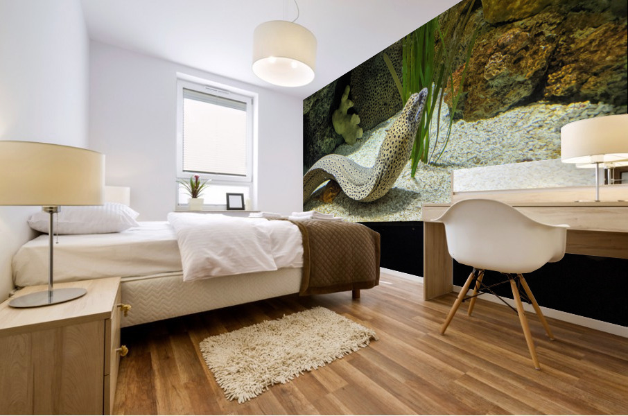 Yellow Eel Mural print