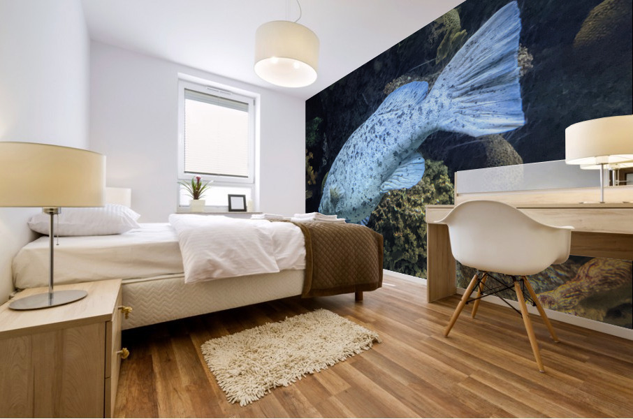 Colorful Fish Mural print