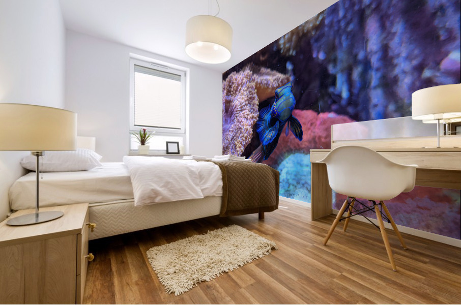 Blue Fish Mural print