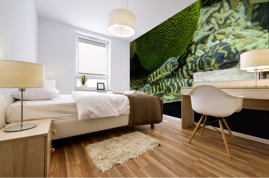 Yellow Eel Mural print