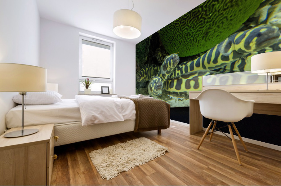 Yellow Eel Mural print