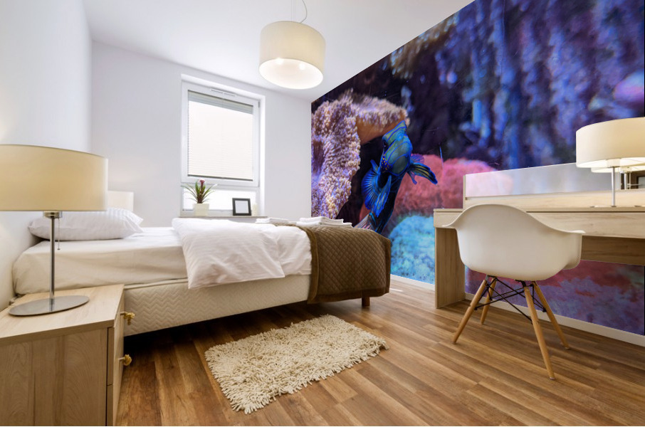 Blue Fish Mural print
