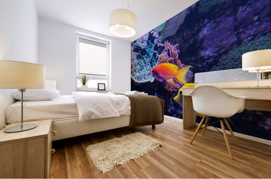 Colorful Fish Mural print