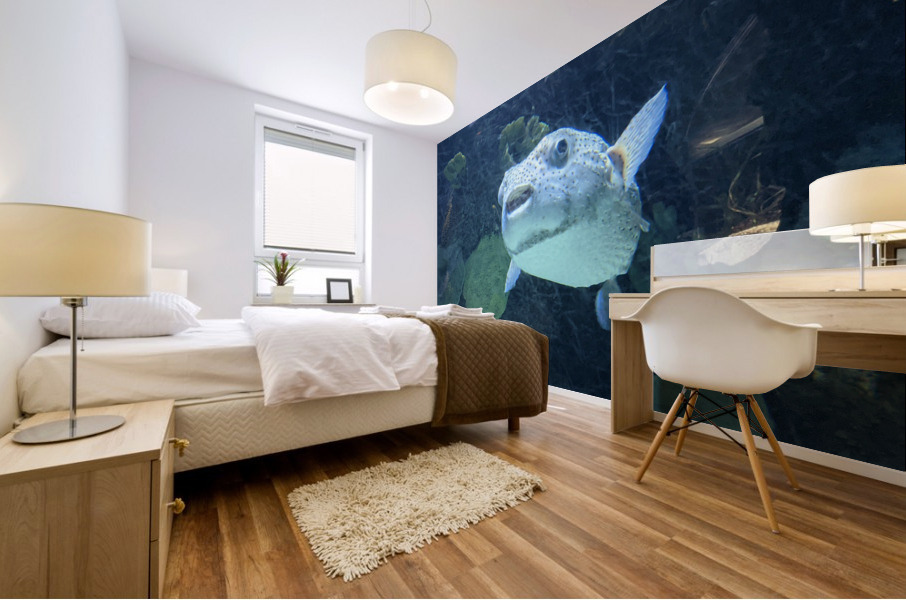 Puffer Fish Mural print