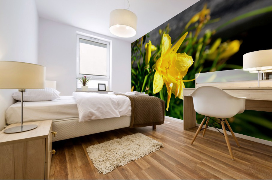Yellow Flowers Mural print
