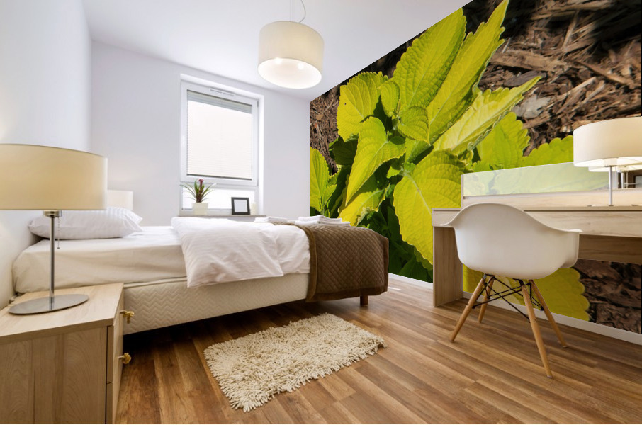 20220628 153835 Mural print