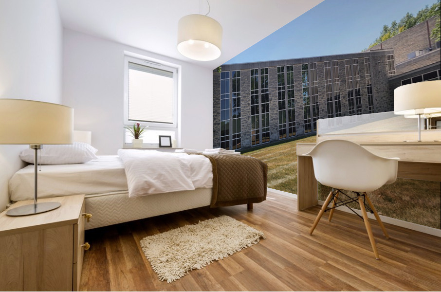 20220628 154007 Mural print