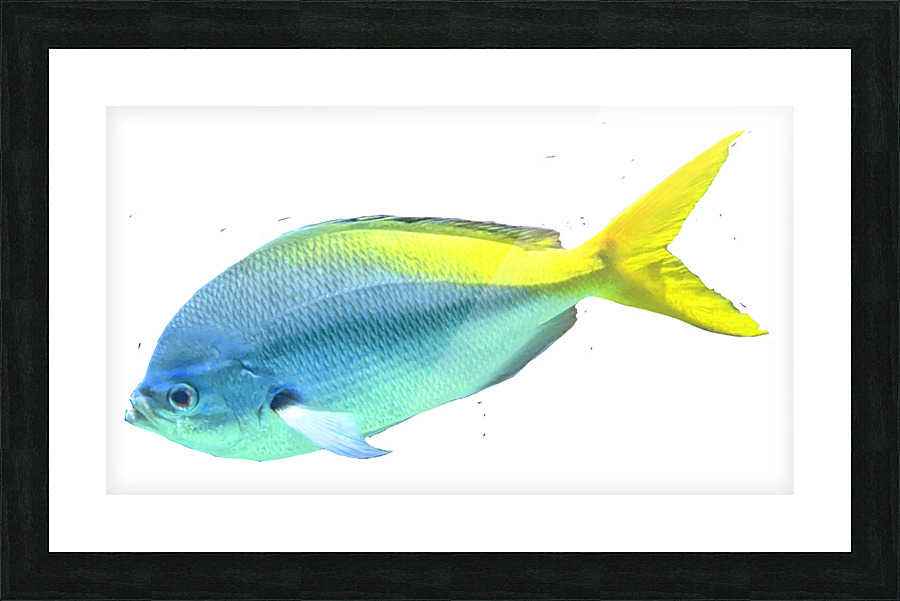 BlueYellow Picture Frame print