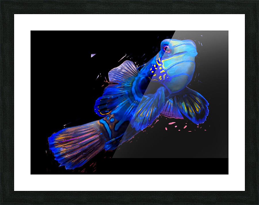 BlueFish Picture Frame print