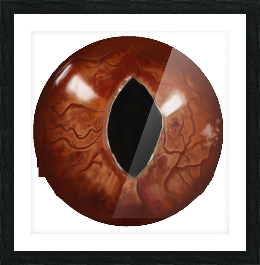 CatEyes Picture Frame print