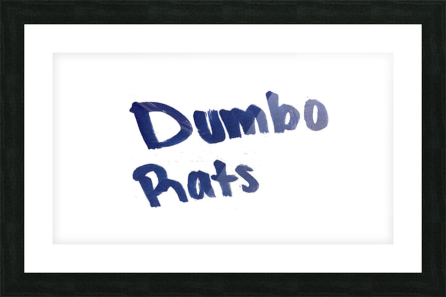 DumboRats Picture Frame print