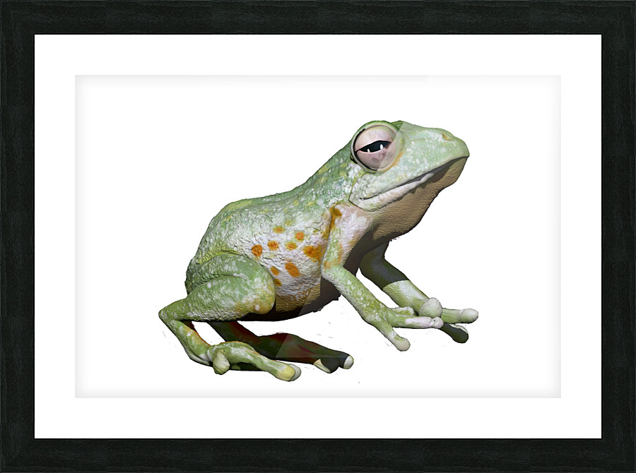 Greenfrog Picture Frame print