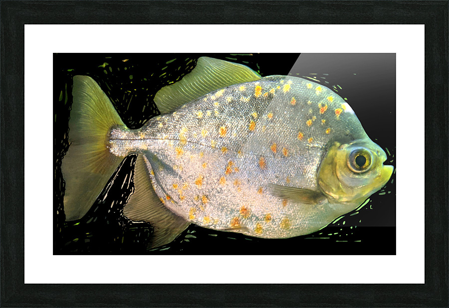 FishwithSpecs Picture Frame print