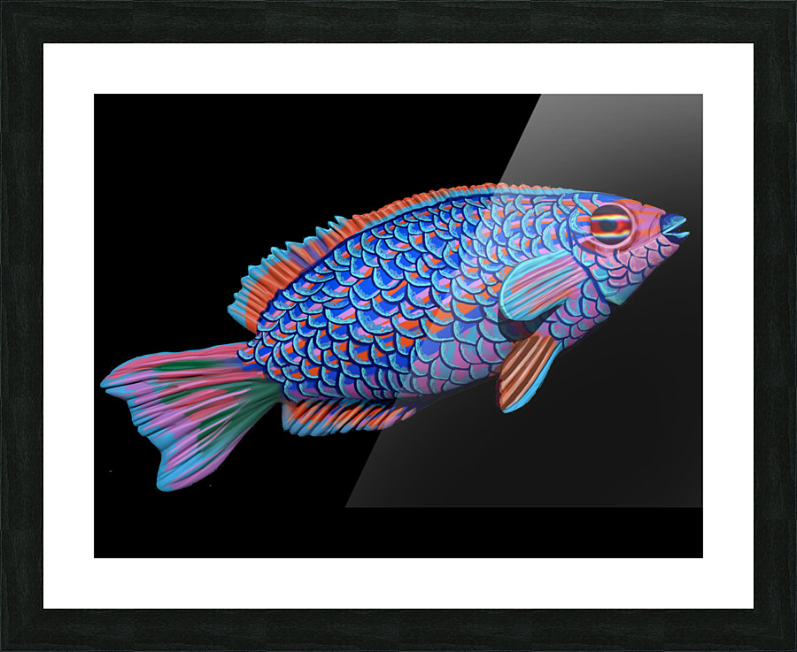 kelly johnson fishconcept1 Picture Frame print