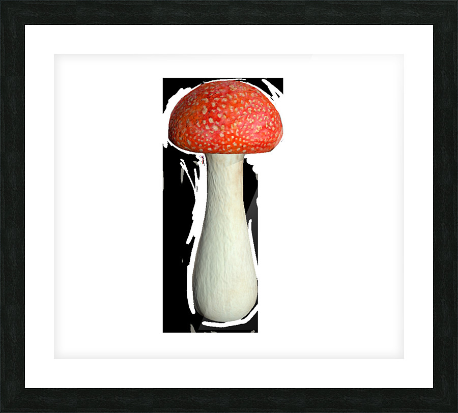 Mushroom4 Picture Frame print