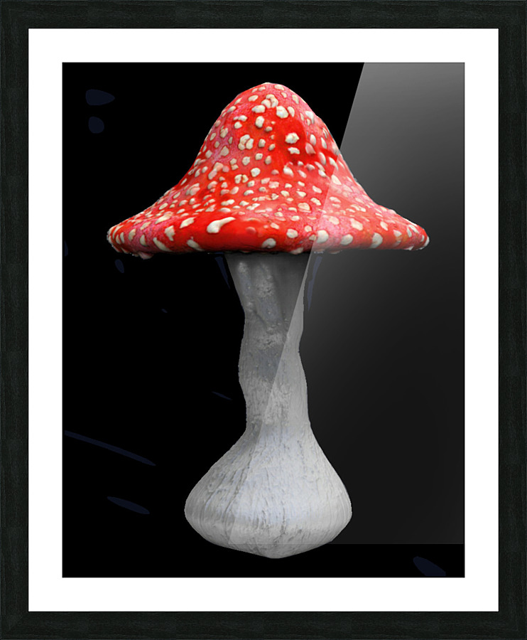 Mushroom2 Picture Frame print
