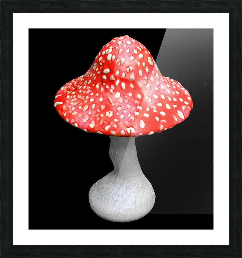 Mushroom Picture Frame print