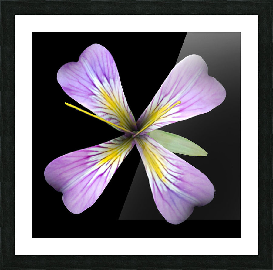 PurpleFlower3 Picture Frame print